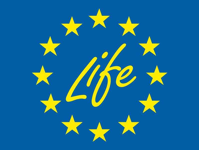 life_logo.png