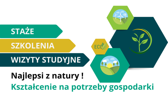 "Najlepsi z natury! Kształcenie na potrzeby gospodarki", staże, szkolenia, wizyty studyjne