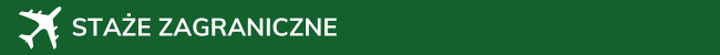 staże zagraniczne